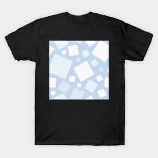 AC Snow B T-Shirt